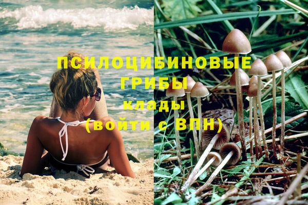 соль курить ск Лиски