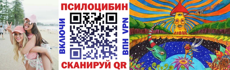 как найти закладки Староминская Галлюциногенные грибы Magic Shrooms